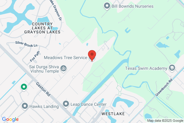 A-1 Meadow Tree Service