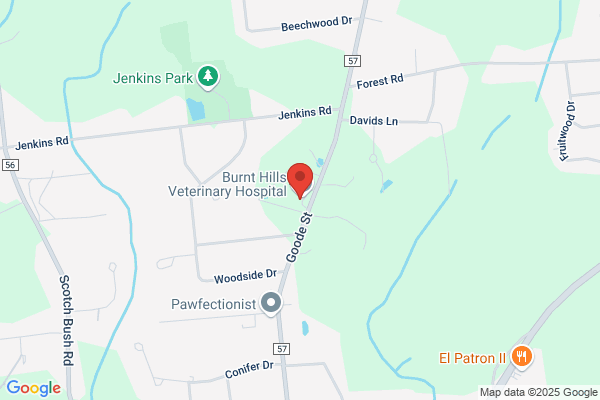 Clemett Terri L Dr Vet