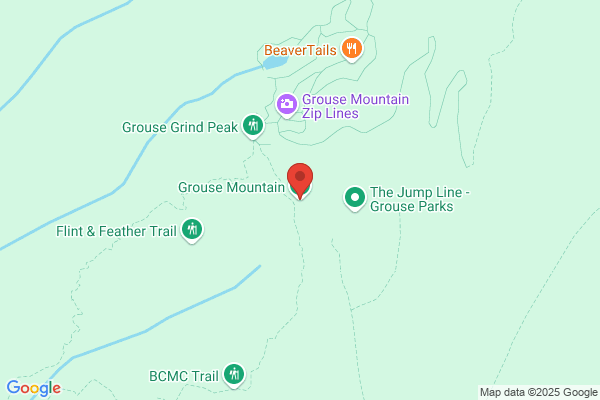 Grouse Mountain-the Peak of Vancouver