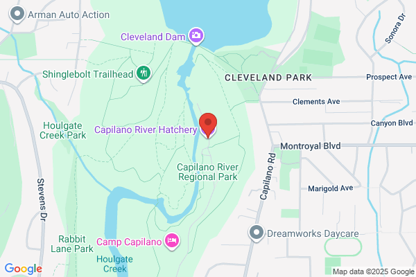 Fish/Fisheries, Reporting of Fisheries and Fish Habitat, Capilano Salmon Hatchery