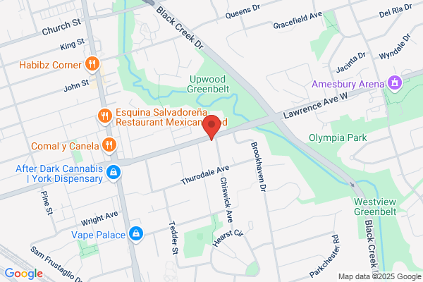Campese M Chiropractor