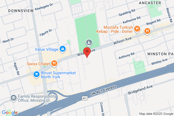 Maxilla Dental
