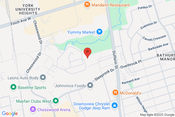 Otto Customized Cushions