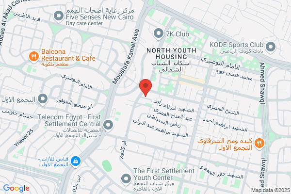 Mantis Studio