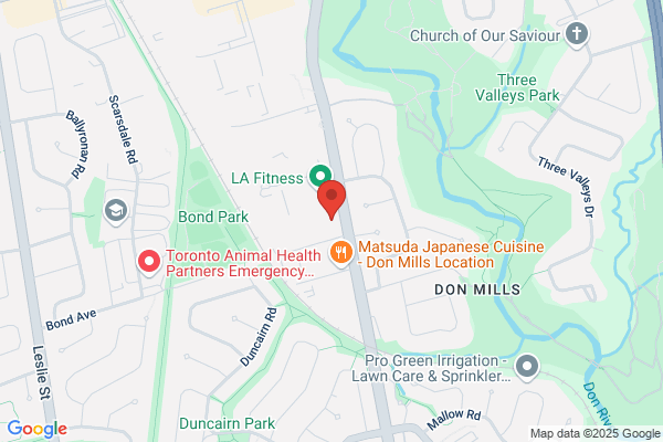 Walking Mobility Clinic (North York)