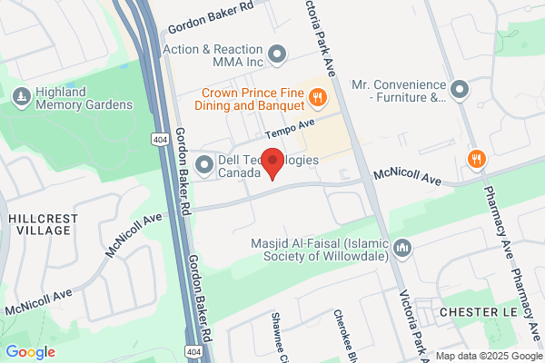 Msi Services