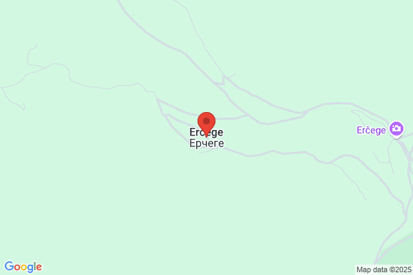 Erceg J E