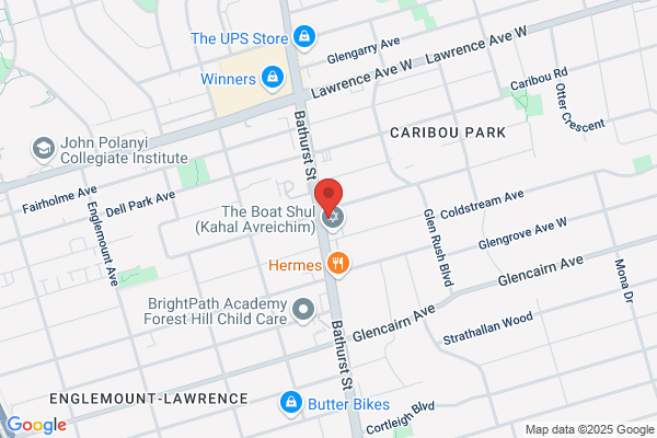 Animal Removal Toronto Inc.