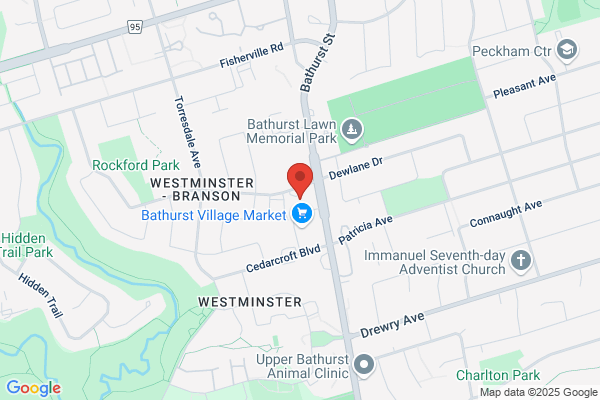 Emergency Plumber Toronto