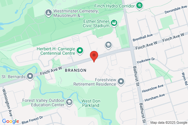 Downsview Services To Seniors