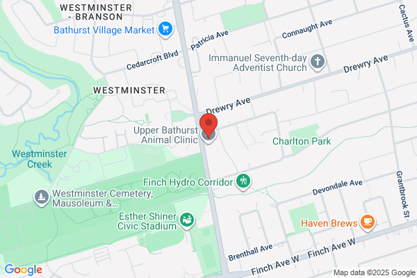 Crosstown Auto Service