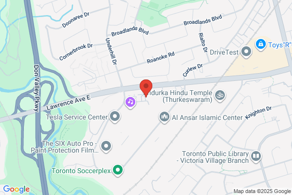 North York Cosmos Soccer Club