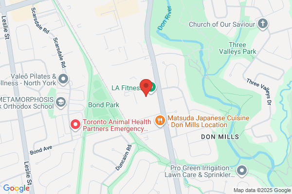 British Swim School at LA Fitness - Don Mills