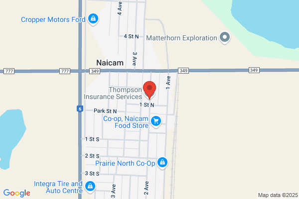 Thompson Insurance Services