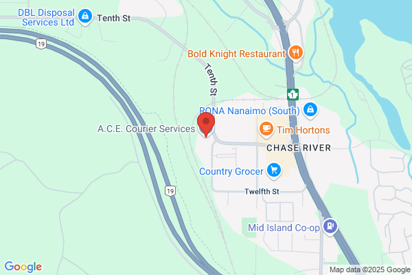 ACE Courier Services