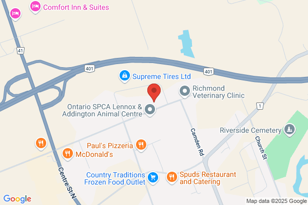 Carquest Auto Parts