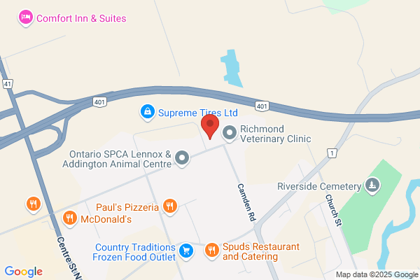 NAPA Auto Parts - NAPA Napanee