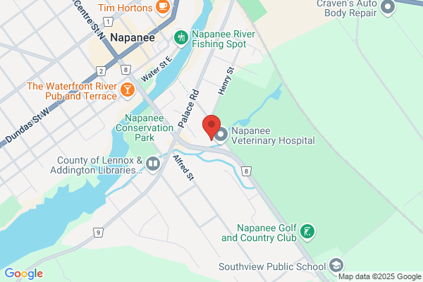 Napanee Lions Hall