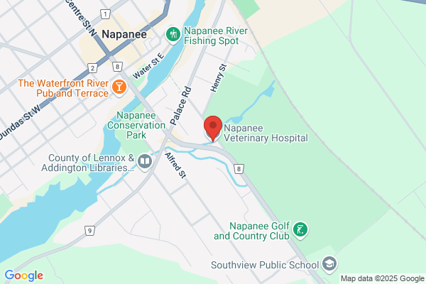 Napanee Veterinary Hospital