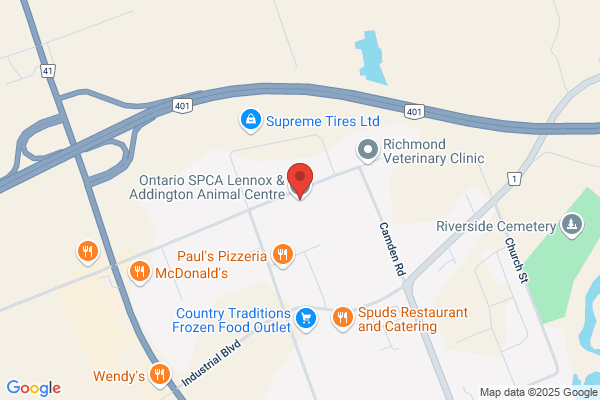 Ontario Humane Society