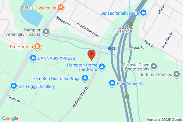 Carquest Auto Parts - Kings County Auto Parts Hampton