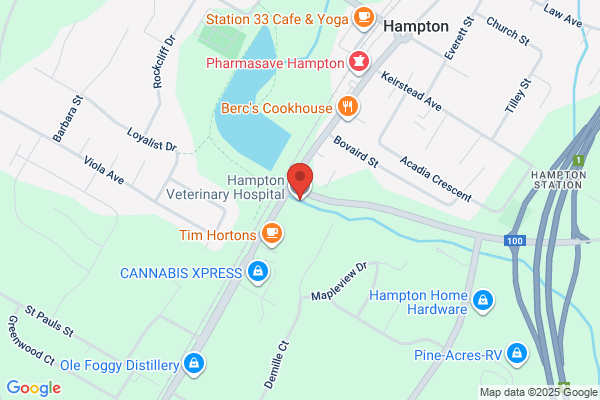 Hampton Veterinary Hospital