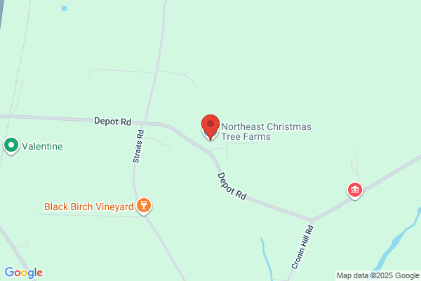 Northeast Christmas Trees & Wreath Producer