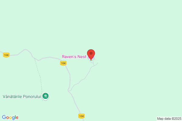 Raven's Nest