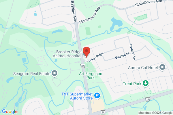 Wyndham Village Dental Office