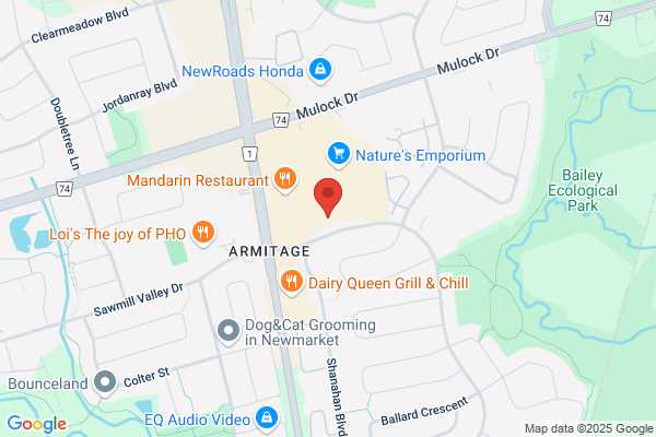 Newmarket Optical