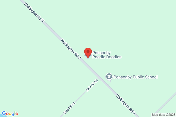 Newmarket Poodle Corner