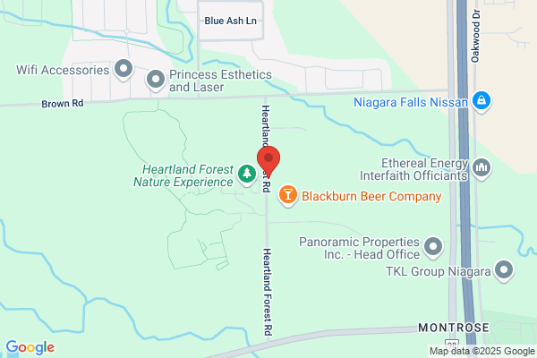Niagara Falls Transit