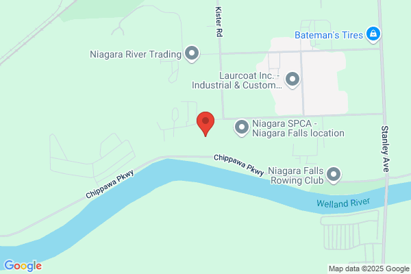 Niagara Vintage Wine Tours