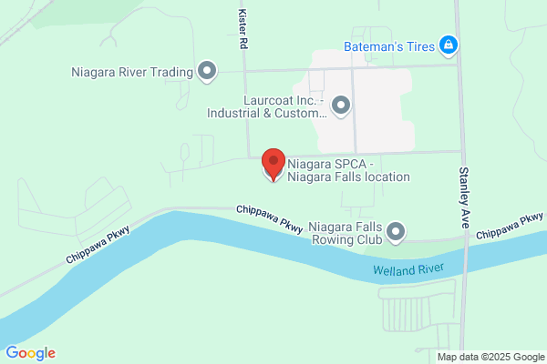 Humane Society Niagara Falls