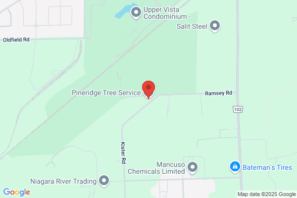Pineridge Tree Service