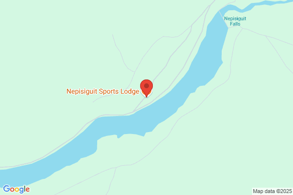 Nepisiguit Residential Services Inc