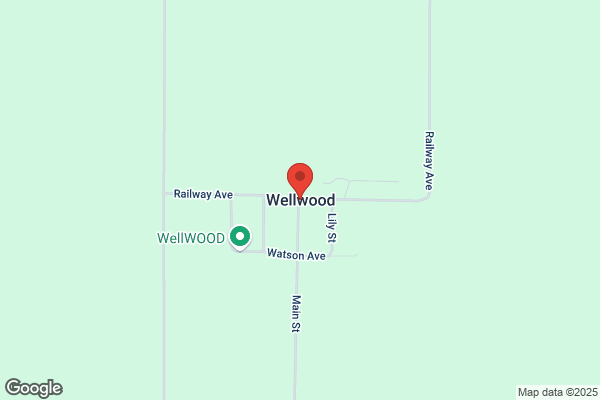 Wellwood MFG
