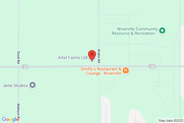 Artel Farms Elevator