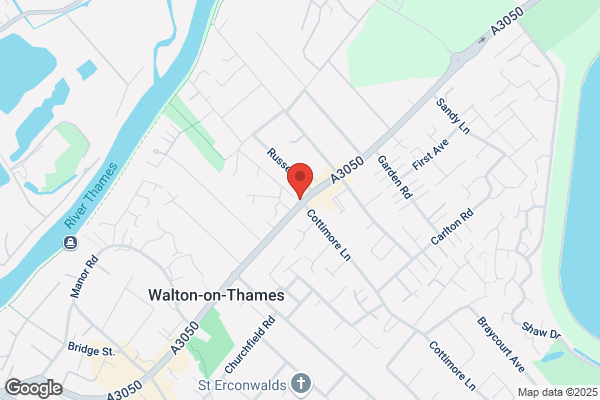 Aysa Walton Pet Grooming