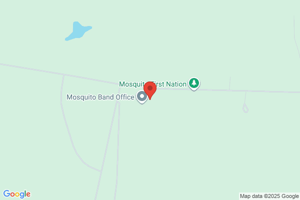 Mosquito Day Care Centre