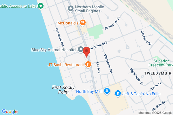 DL Autobrokers