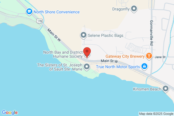 Animal Services, North Bay, Humane Society