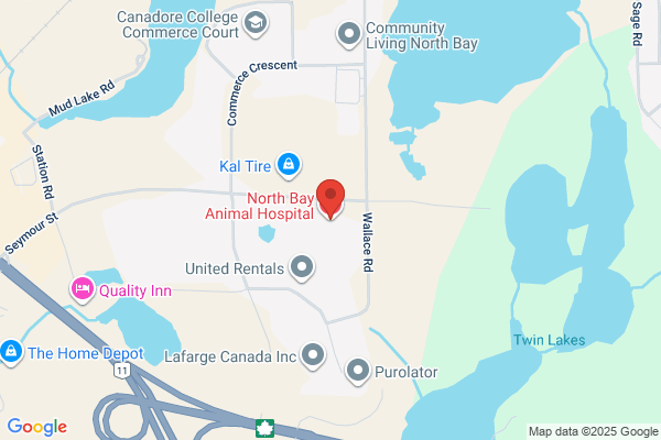 Barnes Karen Dr Veterinarian