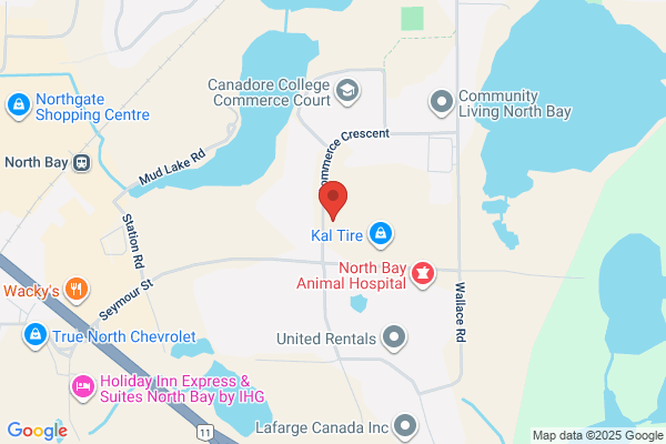 Canadian Bearings Ltd