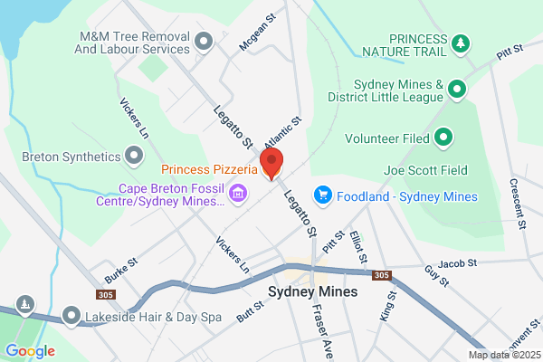 Princess Pizzeria