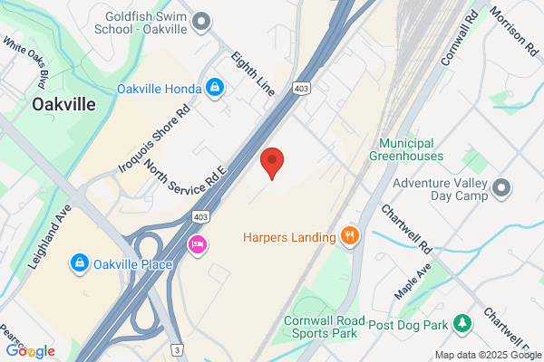 A-Ha Vision
