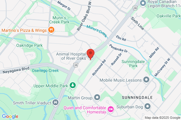 Animal Hospital of River Oaks, Dr Lorie Gold