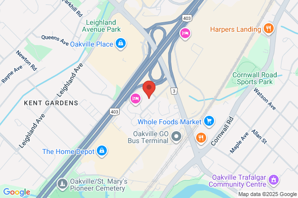 Animal Hospital Of Oakville