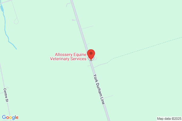 Custom Equine Services