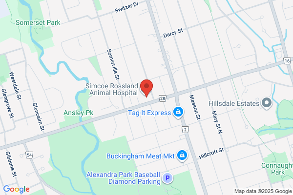 Dawson Dental Oshawa
